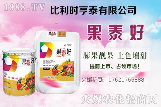 油茶樹的價格怎樣?種植前景如何?油茶樹畝產效益分析!