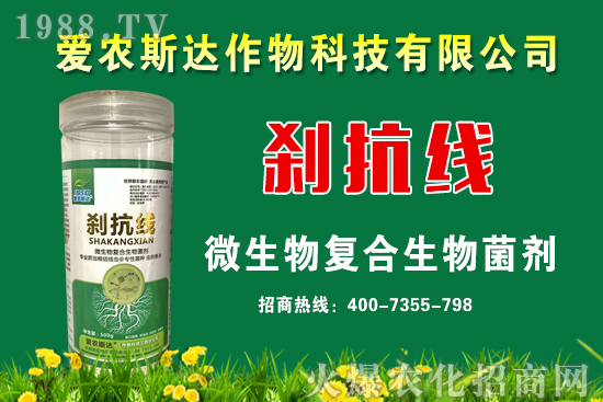 今日糧價:2020年9月11日小麥價格行情預(yù)測!