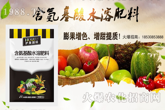 �|���m����ʲô����(ji��)�������|������M(j��n)�зNֲ��