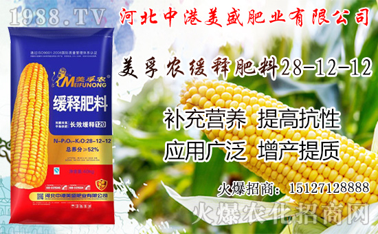 �O���������������ô�������O�������ڼ���ժ�������