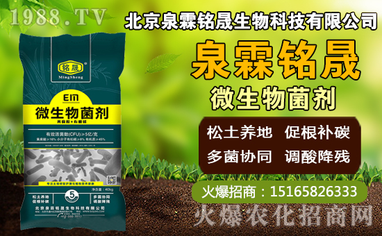 â��ʲô�r(sh��)�g�Nֲ��â���Nֲ��������ˮ�r(sh��)�ڣ�