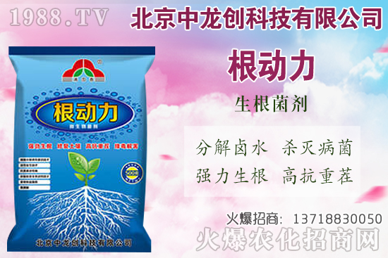 ���}���������������Щ�����}��ʩ�ʼ��g(sh��)Ҫ�c(di��n)��