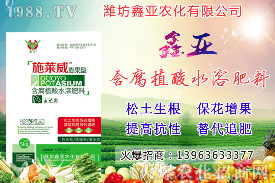 �Zʳ�q�r��20209��17��С���r�����������