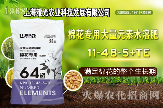 甜椒什么時(shí)候種植,甜椒栽培技術(shù)要點(diǎn)!