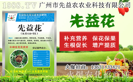 水仙花形態(tài)特征及生長(zhǎng)習(xí)性，水仙花栽培方法！