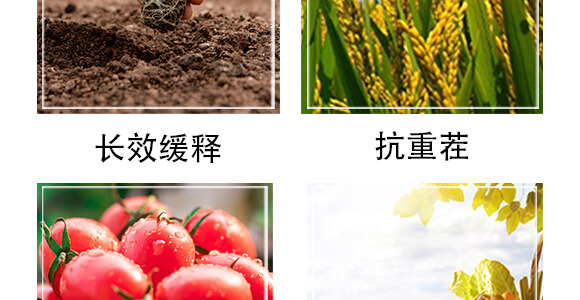 �����r(n��ng)��ጷ���28-12-12-�и���ʢ_05