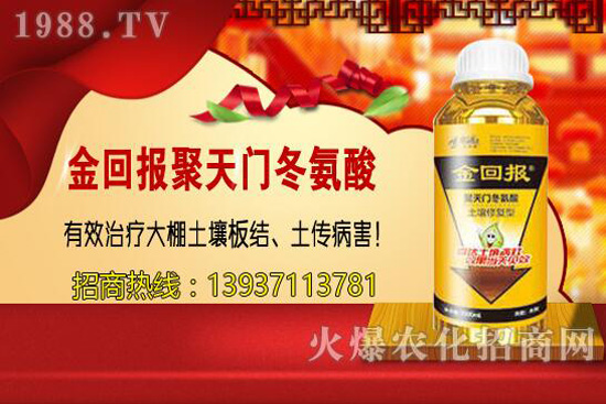 ���w�������cС�w����ɶ��ͬ������ԓ�x��һ�N��