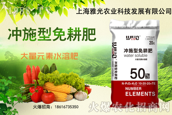 白菜一畝地需要多少肥料，白菜施肥過(guò)后需立即澆水嗎？