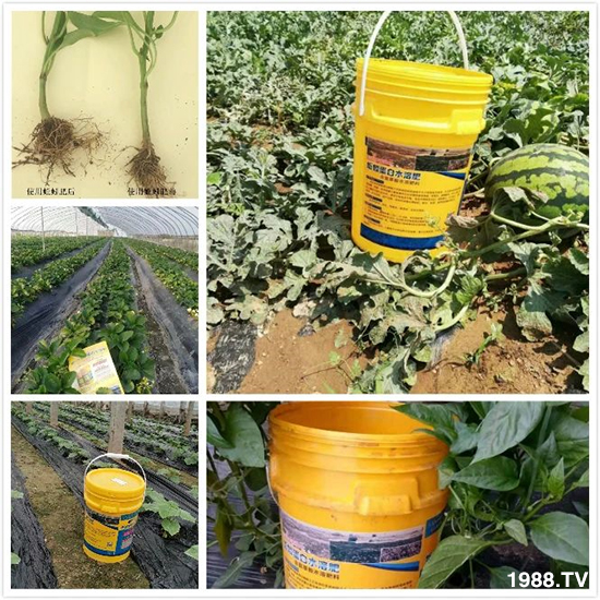 水溶肥市場大變革?海藻精、魚蛋白將被它代替!1000多用戶鼎力推薦!