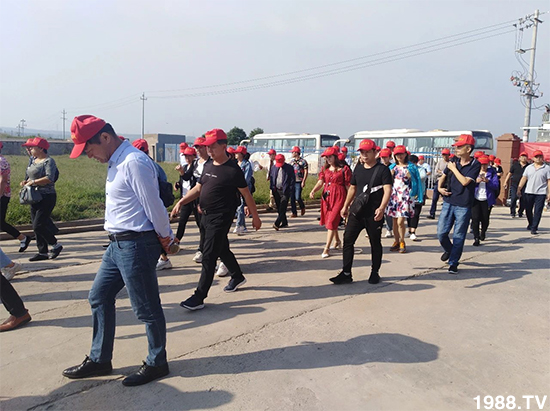 水溶肥市場大變革!?海藻精、魚蛋白將被它代替!1000多用戶鼎力推薦!