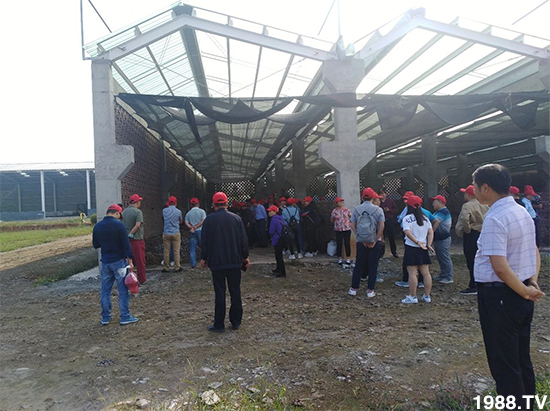 水溶肥市場大變革?海藻精、魚蛋白將被它代替!1000多用戶鼎力推薦!