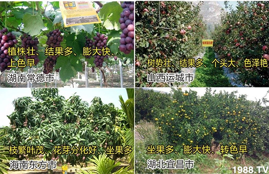 水溶肥市場大變革。亢T寰、魚蛋白將被它代替!1000多用戶鼎力推薦!