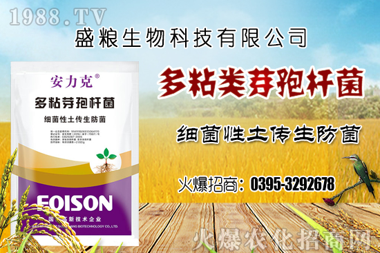 ܇?y��n)��ӷNֲ�h(hu��n)��Ҫ�����Ď��c(di��n)��܇?y��n)������N�x�����N�׷N��