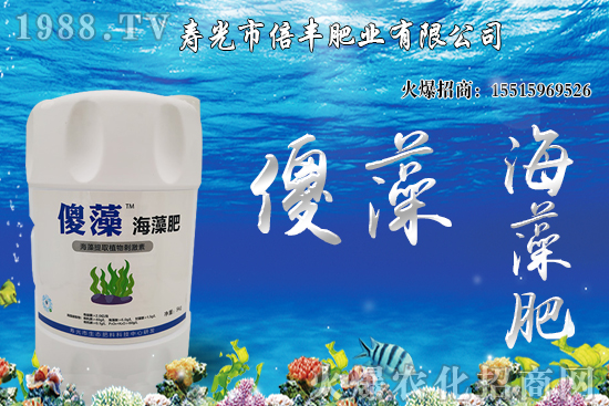 市場逐步回歸正?;久妫蠖箖r(jià)格沖高回落!