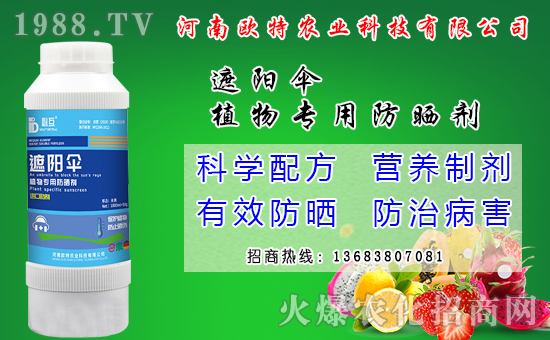 �R������Ժ���Щ�����׷N���R����׷Nģʽ��ʲô��̎��