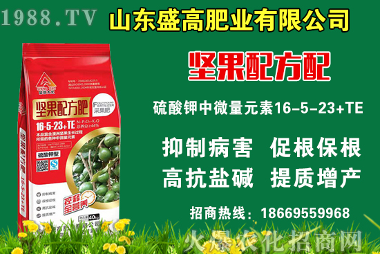 小麥價格還要上漲嗎？9月9日國內(nèi)小麥價格行情！