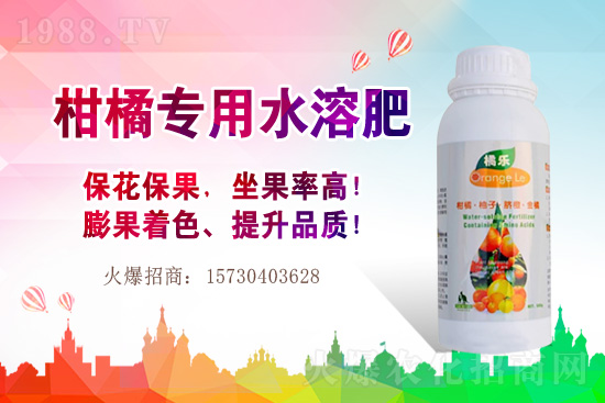 草莓的生長(zhǎng)習(xí)性有哪些?早春大棚草莓管理技術(shù)要點(diǎn)!