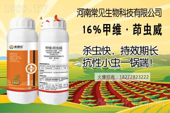 土豆幾月份種合適？（附如種植方法及田間管理）