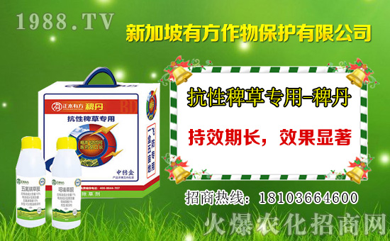 2021��2��17�ձ��ݰ����݄��r(ji��)���߄�(sh��)