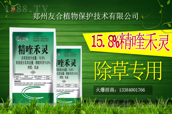 ���ݰ����݄��r���߄�2021��2��19��