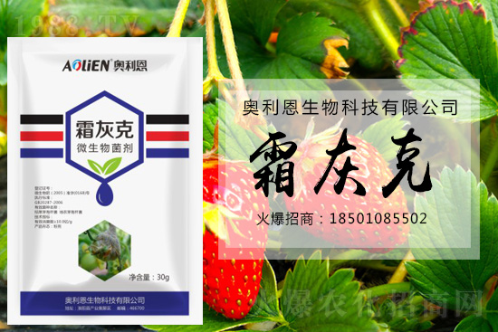 ������ݮ�װl(f��)��ù�����A(y��)����ʩ��ô����