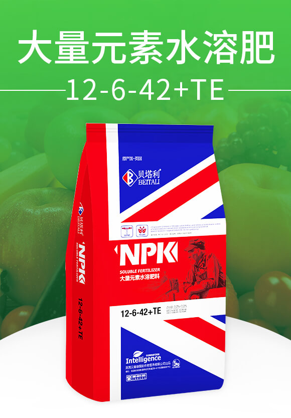 大量元素水溶肥料12-6-42+TE-貝塔利_01