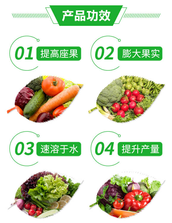 大量元素水溶肥料12-6-42+TE-貝塔利_03