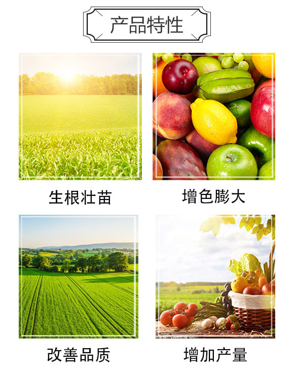 �����(j��ng)������߮a(ch��n)����΢�������-���r(n��ng)_03