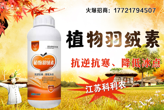 �����׷Nֲ�ܶ���ΰ��գ�������ʩ�ʼ��к��ڹ�����