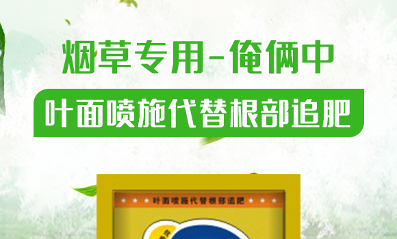 煙草專用-俺倆中-恒綠植物_01