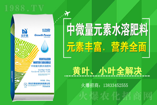 �S����ԓ��ô�Nֲ���S���˷Nֲ�^����ע����Щ���}��