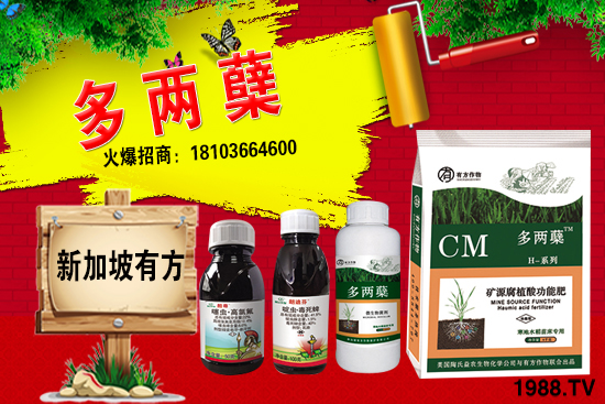 2021葡萄柚種植前景如何？葡萄柚和普通柚子有何區(qū)別？