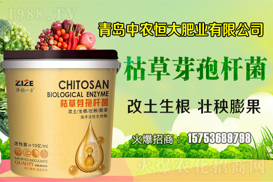 �ݲ�ѿ�ߗU������ǡ����С������ݲ�ѿ�ߗU�����w�������˽����