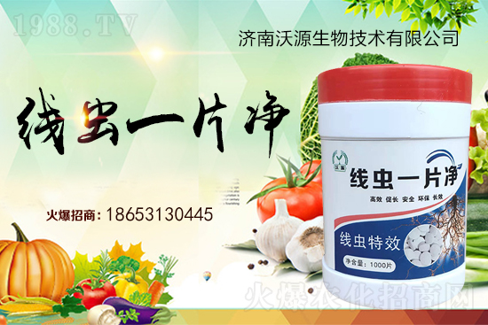 根結(jié)線蟲難防治,專治線蟲“線蟲一片凈”