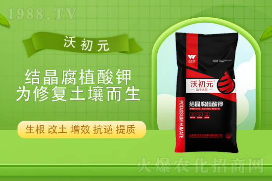 ⛷ʃr(ji��)��߀��(hu��)�q����10��22��⛷ʃr(ji��)������