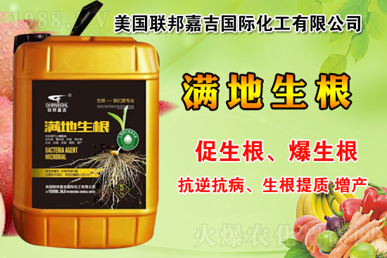 聯(lián)邦嘉吉怎么樣,聯(lián)邦嘉吉有哪些特色?公司暢銷(xiāo)產(chǎn)品有哪些?