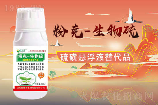 ɽ�|�����S�m(x��)�s1988.TV�����\�����°l(f��)չ