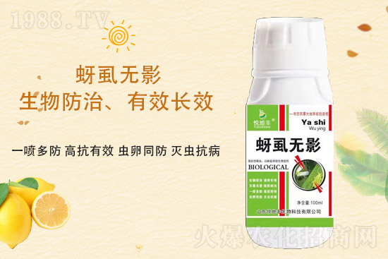 ɽ�|�����S�m(x��)�s1988.TV�����\�����°l(f��)չ