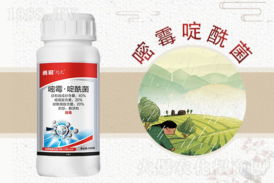 �¹چ̵��ٺ�1988.TV���T�����x�ͣ�