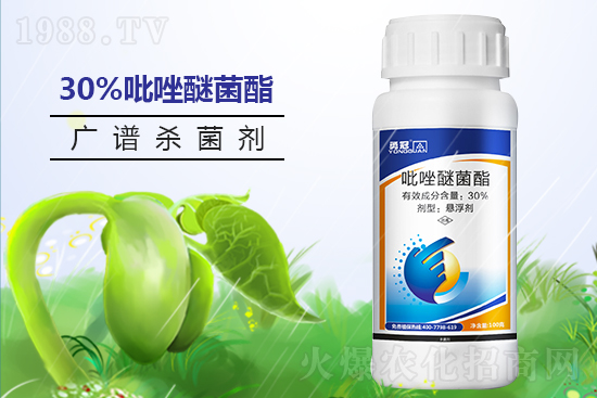 �¹چ̵��ٺ�1988.TV���T�����x����