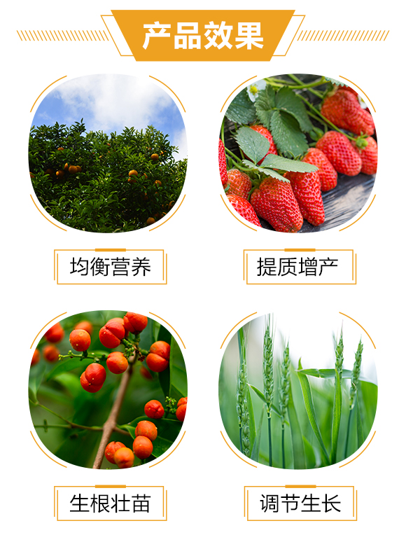 護(hù)果國(guó)際1_03