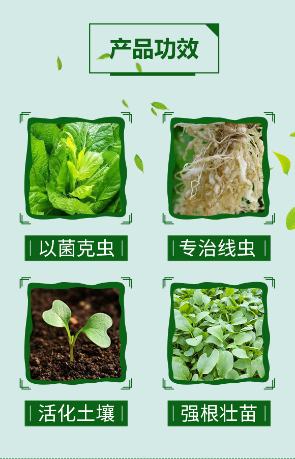 根線蟲(chóng)一沖凈---天農(nóng)化工_03