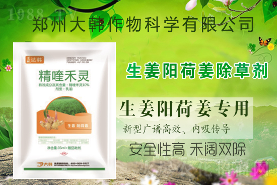 ��ꖺɽ���ô���ݣ����ش�ʲô���݄�����ꖺɽ����ݷ�����ע�����(xi��ng)