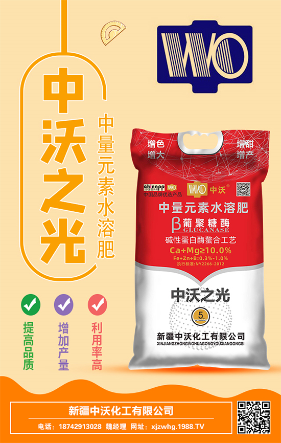 ���ֻ����m(x��)�s1988.TV���y���r(n��ng)���W(w��ng)�ل�(chu��ng)���x�ͣ�