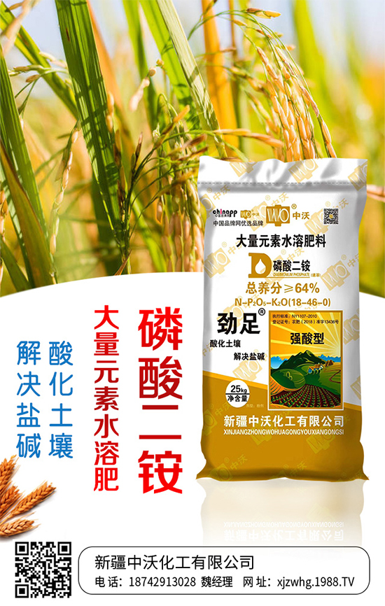 ���ֻ����m(x��)�s1988.TV���y���r(n��ng)���W(w��ng)�ل�(chu��ng)���x����