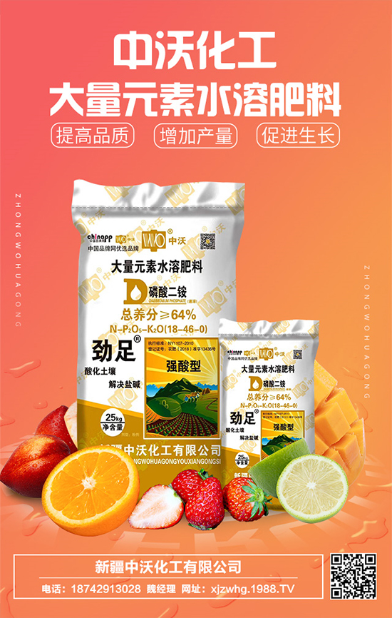 ���ֻ����m(x��)�s1988.TV���y���r(n��ng)���W(w��ng)�ل�(chu��ng)���x����