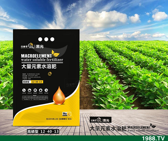 暫穩(wěn)運(yùn)行,2021.12.31今日磷酸二銨價(jià)格