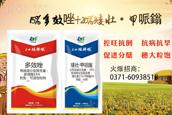 С����ǰ���L(zh��ng)�a(ch��n)���pʧ����С���������x���������ֶա���