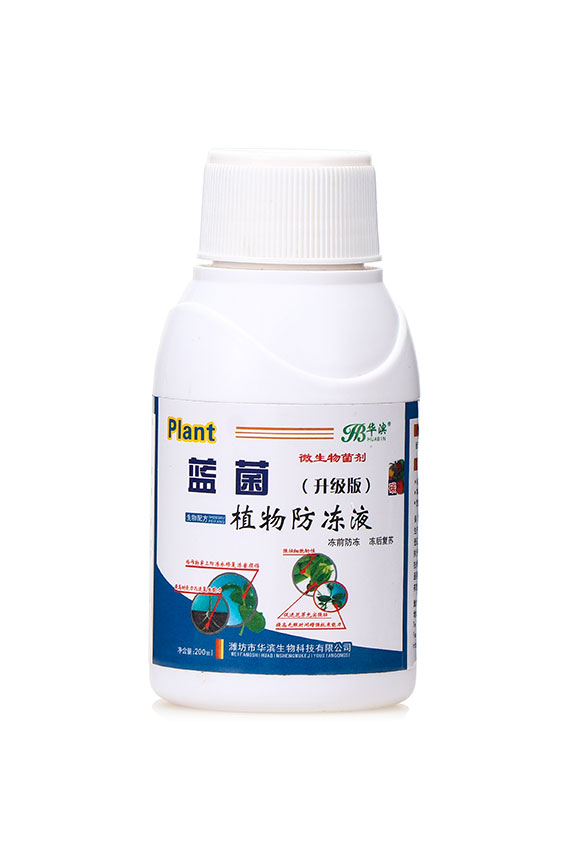 微生物菌劑(升級(jí)版)-藍(lán)菌植物防凍液-華濱1
