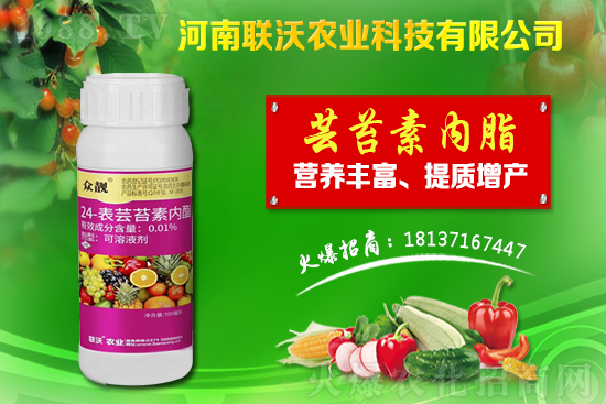 百部適合什么地方種植?百部種植前景及種植技術(shù)!